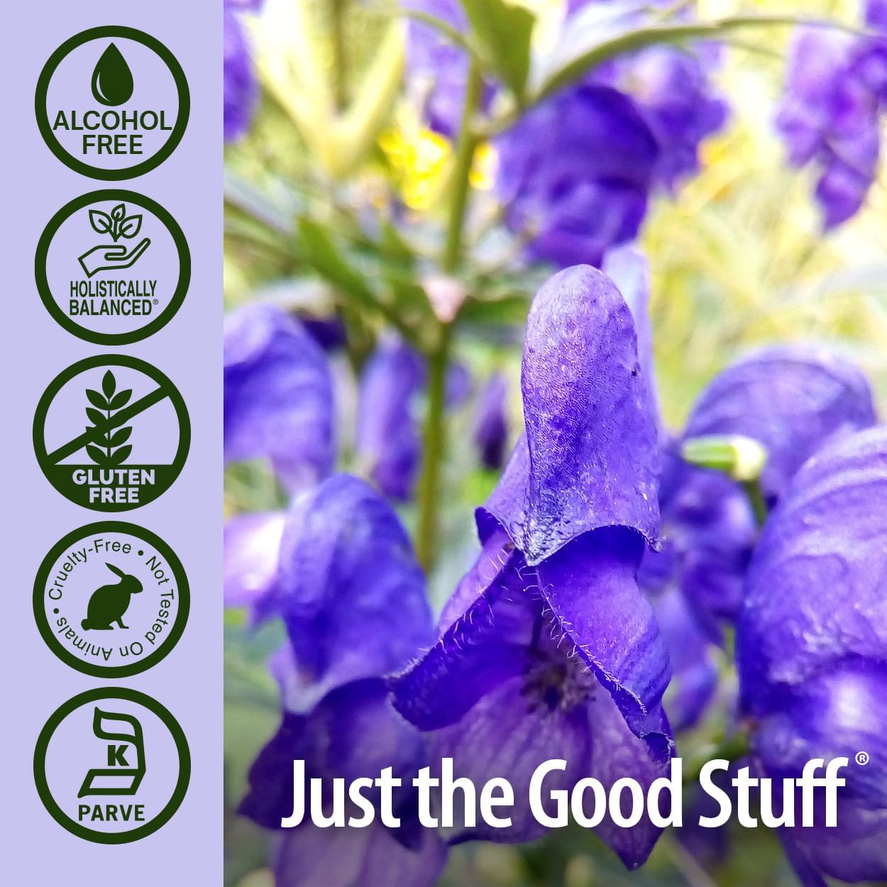 natures answer skullcap herb alcohol free 1 fl oz