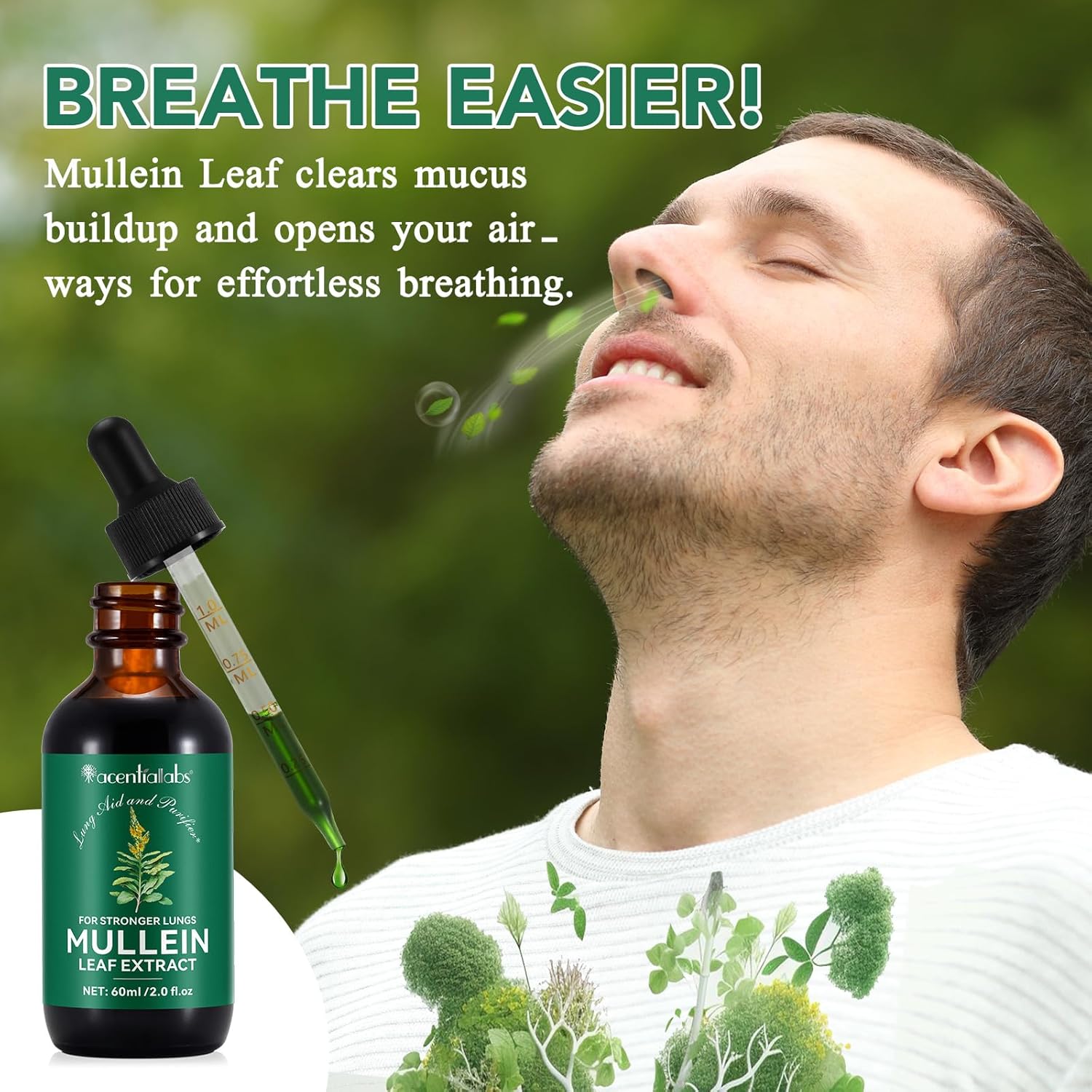 organic mullein leaf tincture no additives mullein extract drops 2 fl oz 60ml