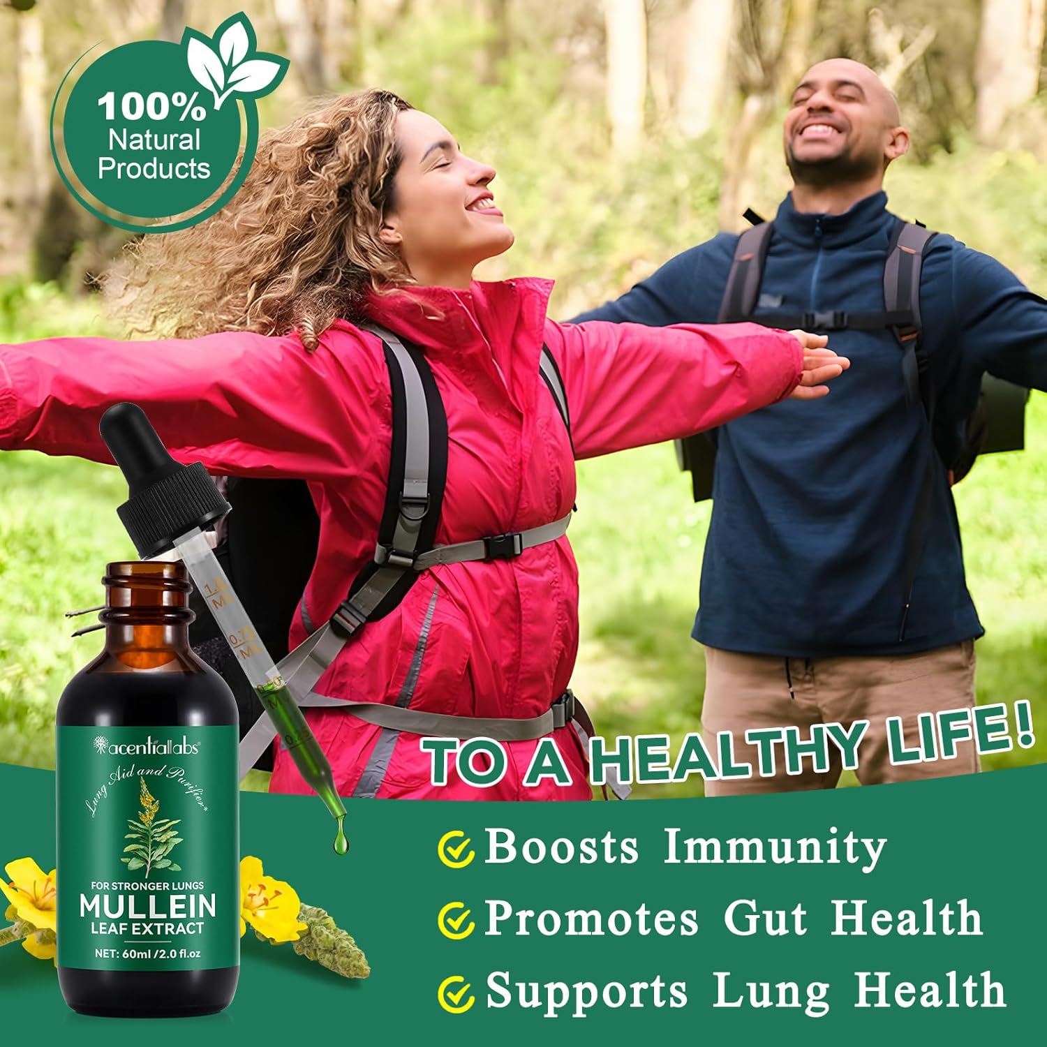 organic mullein leaf tincture no additives mullein extract drops 2 fl oz 60ml