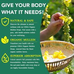 lung wellness supplement