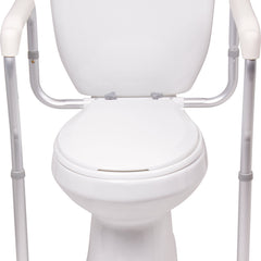probasics toilet safety frame