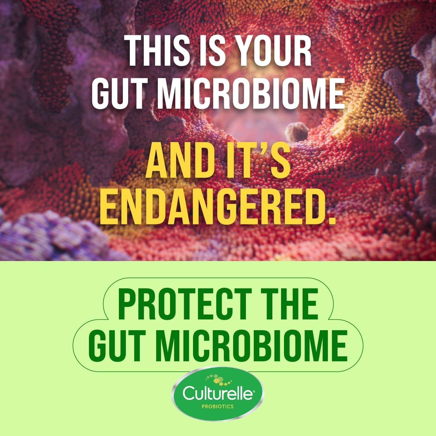 probiotic dietary supplement culturelle® 30 per box capsule