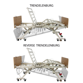 DB300 Bariatric LTC 5 Assist Bar Function Low Bed - Wood Boards - Cherr