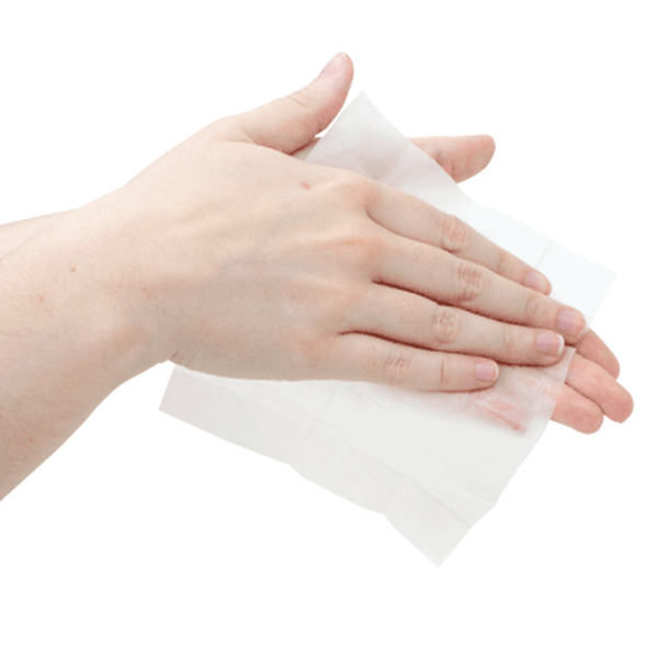 BZK Antiseptic Towelettes