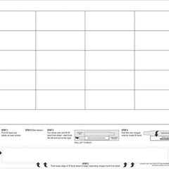 Identification Wristband with Extender DataMate