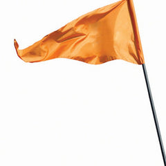 Flag For Golden Scooter