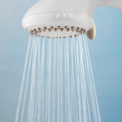 moen shower head hand held w pause control white
