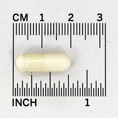 digestive health probiotic