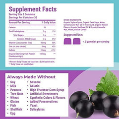 elderberry immune support