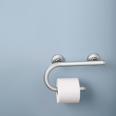 integrated grab bar w toilet paper holder chrome moen
