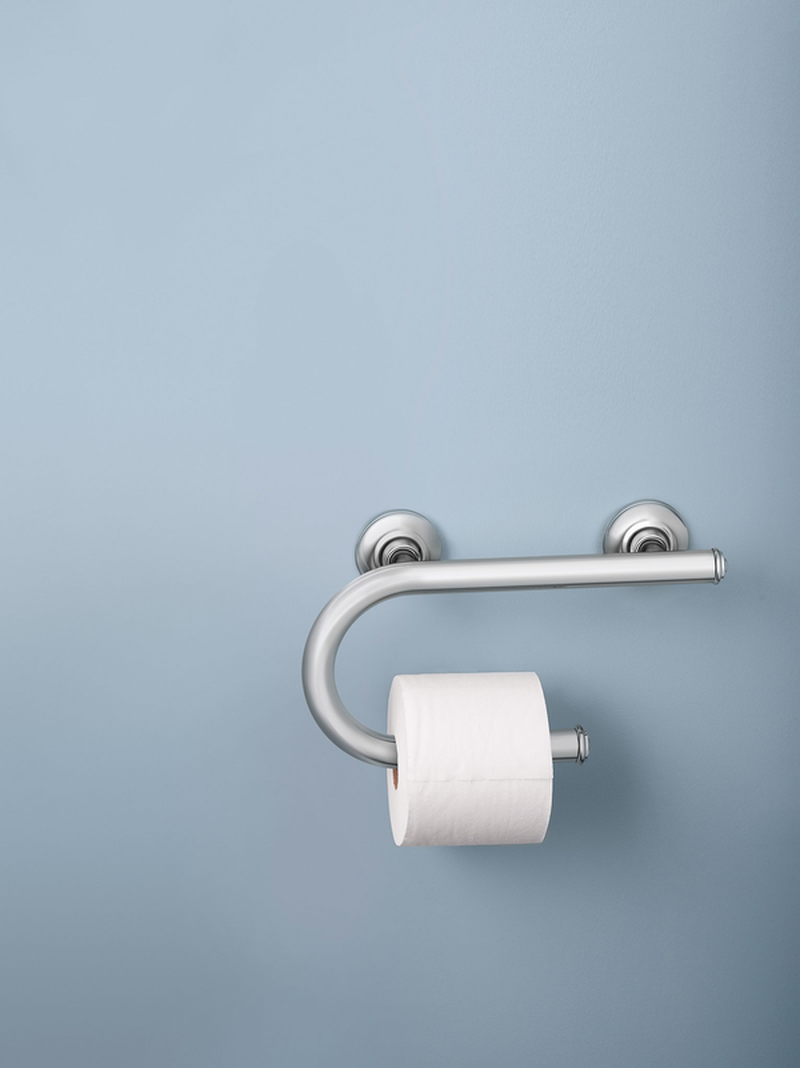integrated grab bar w toilet paper holder chrome moen