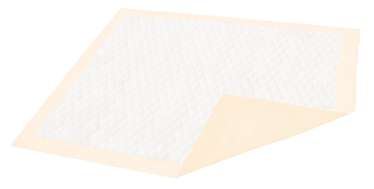 Disposable Underpad Dignity Premium 30 X 36 Inch Fluff / Polymer Moderate Absorbency, Packaging Type- Case