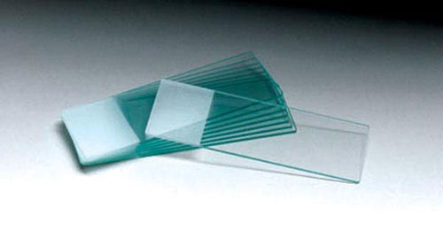 Microscope Slides  Plain Pk/72   All Care Store