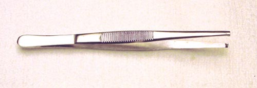 Tissue Forceps 5  1x2 Teeth - All Care Store 