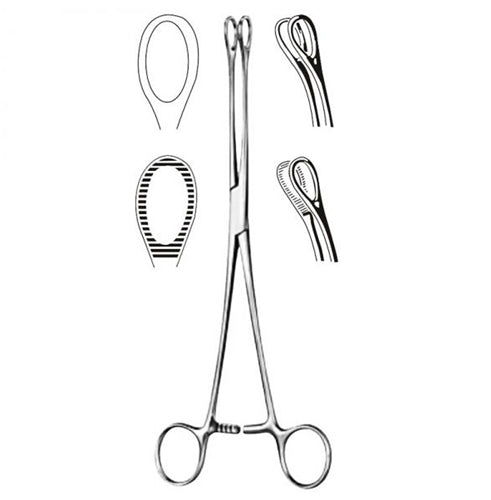 Foerster Sponge Forcep- 7  Serrated - All Care Store 